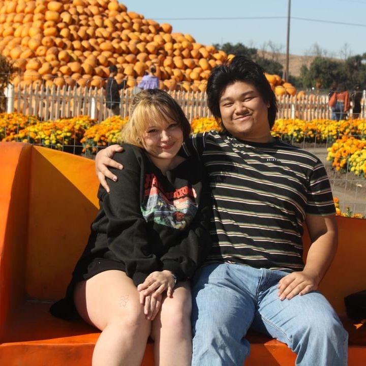 Pumpkin Patch 2024