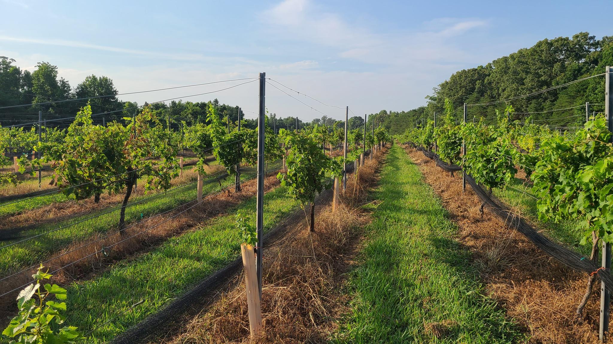 The Wedding Website of Kasey Marshall and Justin Able