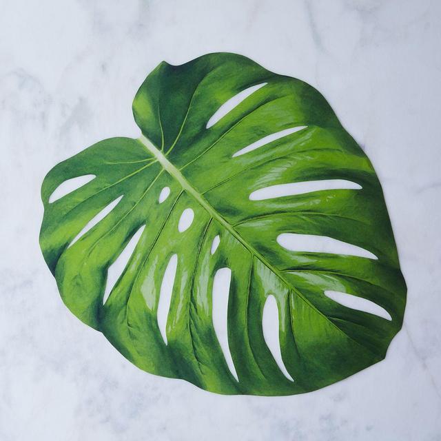 Monstera Leaf Placemats (Set of 12)