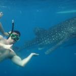 Whale Shark & Waterfalls Philipines