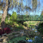 Overland Park Arboretum & Botanical Gardens