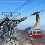 Snowbird