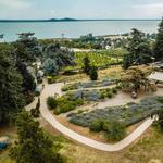 Folly Arboretum and Winery