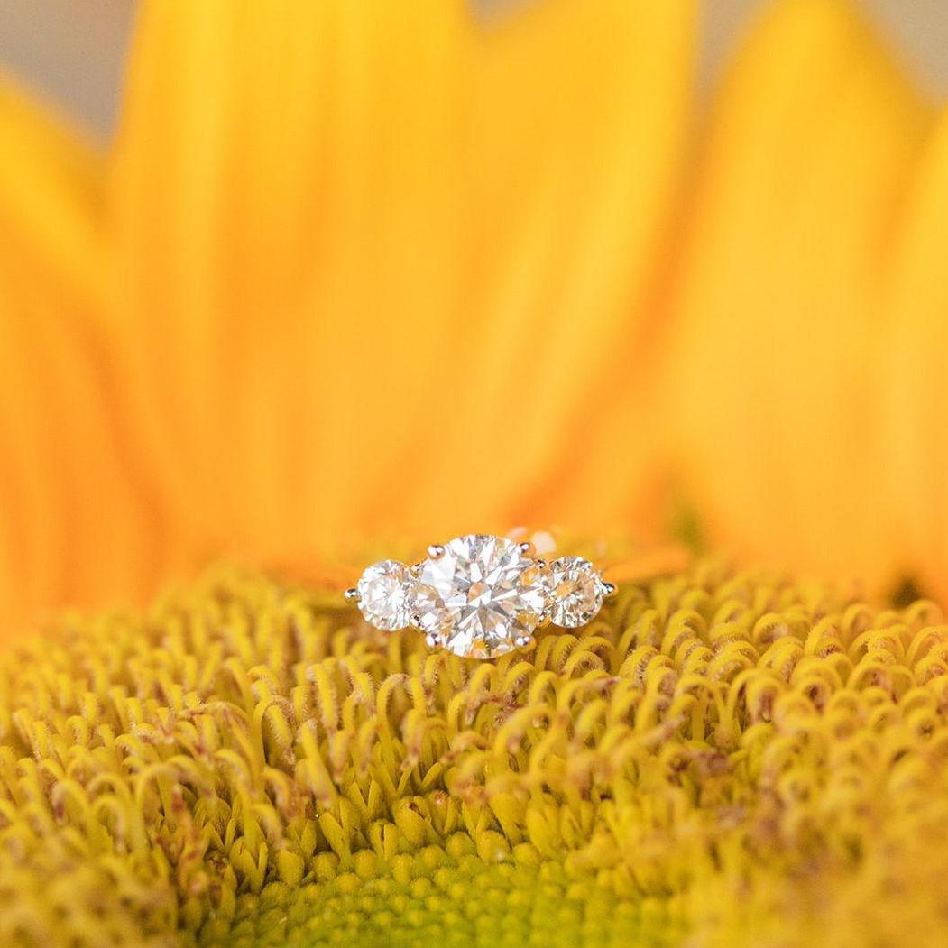 THE PROPOSAL!!! - August 13, 2021