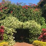 Sunken Gardens