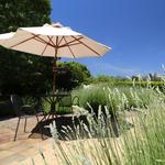 Pestoni Family Estate Winery