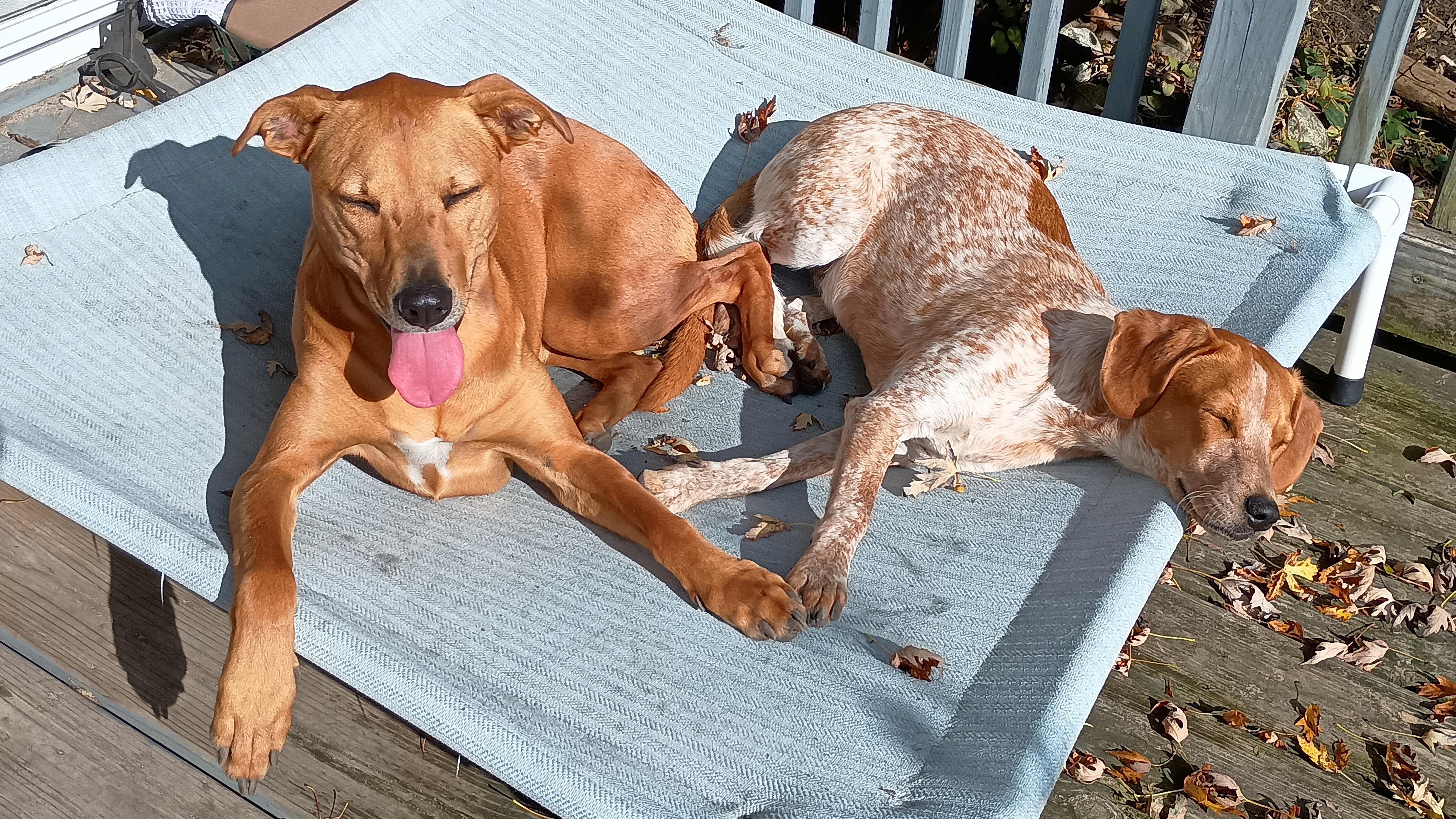 The Wedding Website of Michael Robert and Kathleen Elizabeth