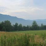 Cades Cove Loop Road