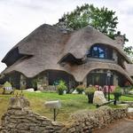 Mushroom House Tours