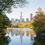 Picnic in Central Park
