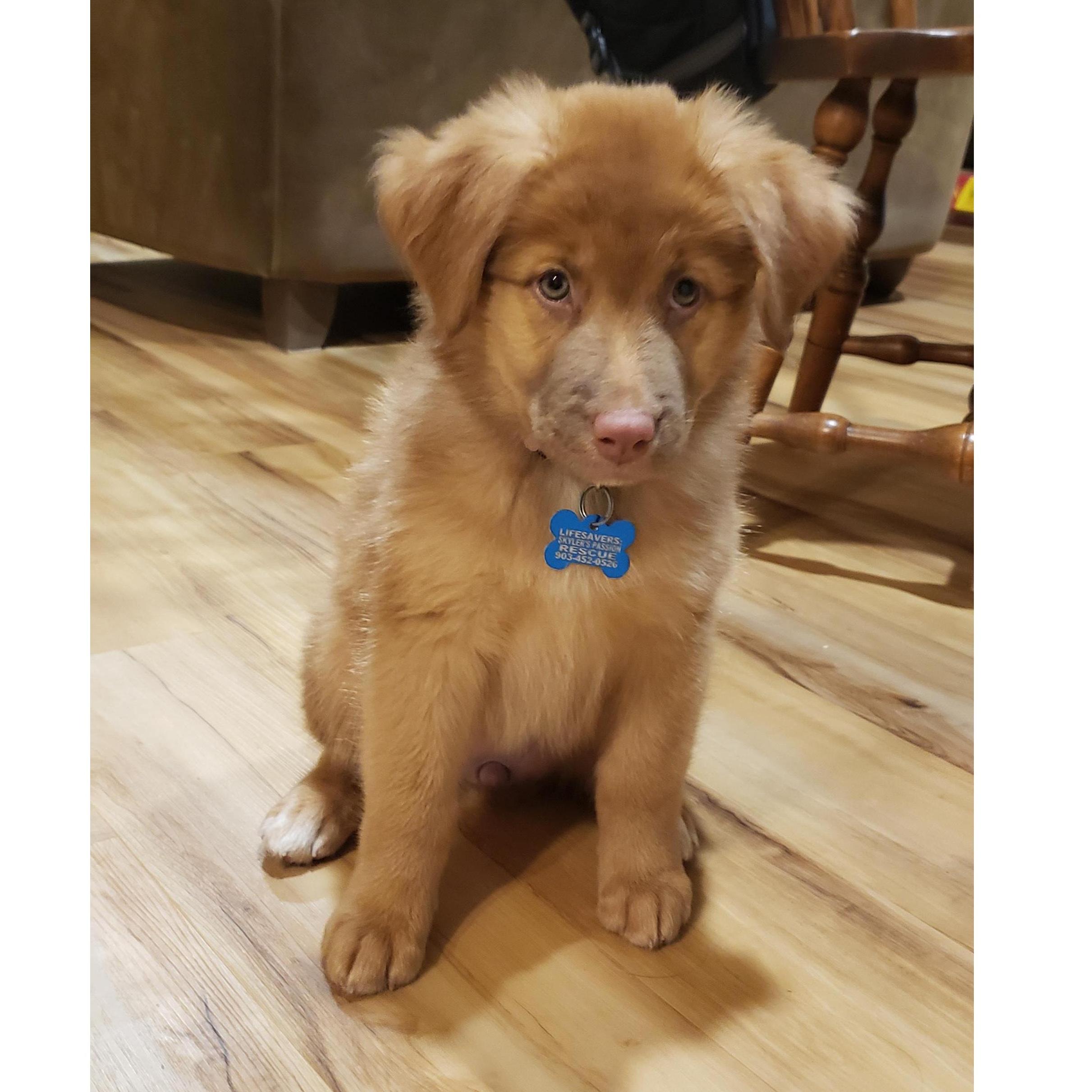 The day we got Aspen