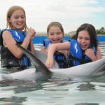 Marineland Dolphin Adventure