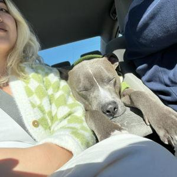 Roadtrip