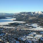 Whitefish