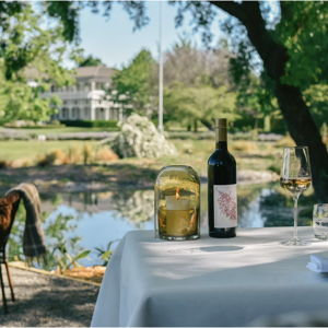 Private Dinner with Wine Pairing