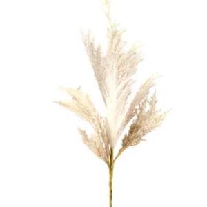 Cream Pampas Grass Bundle, 20" (At Home)