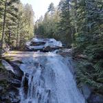 Otter and Big Creek Falls Trail