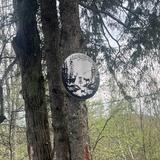 Montgomery Center - Disc Golf
