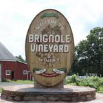Brignole Vineyards