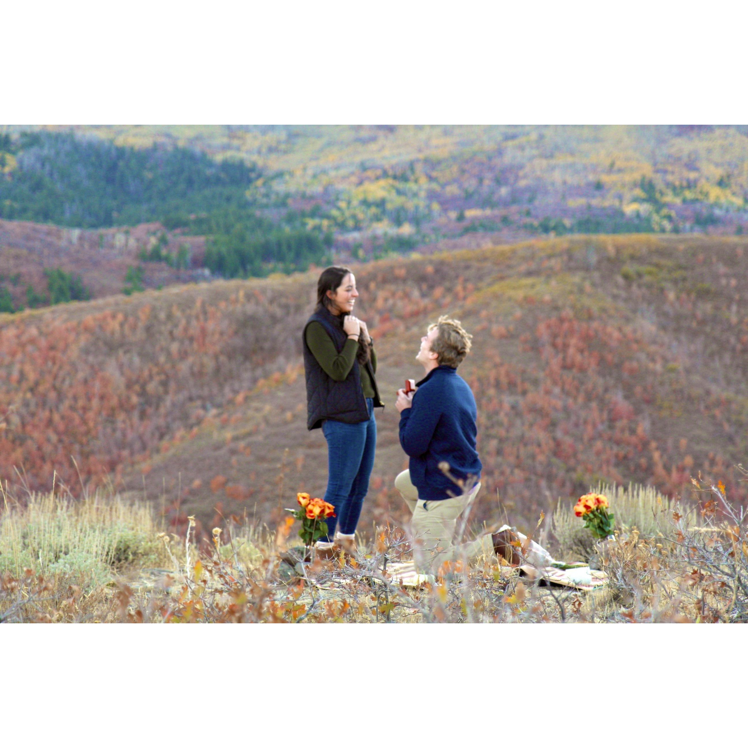 The Proposal!
