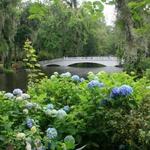 Magnolia Plantation and Gardens