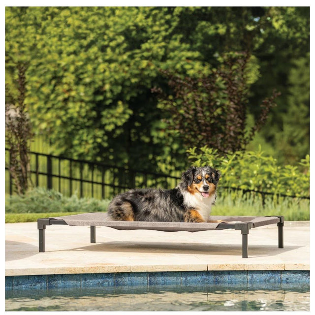 COOLAROO HeatShield Cooling Fabric Elevated Dog - Great Sandy Beige, Medium - Chewy.com
