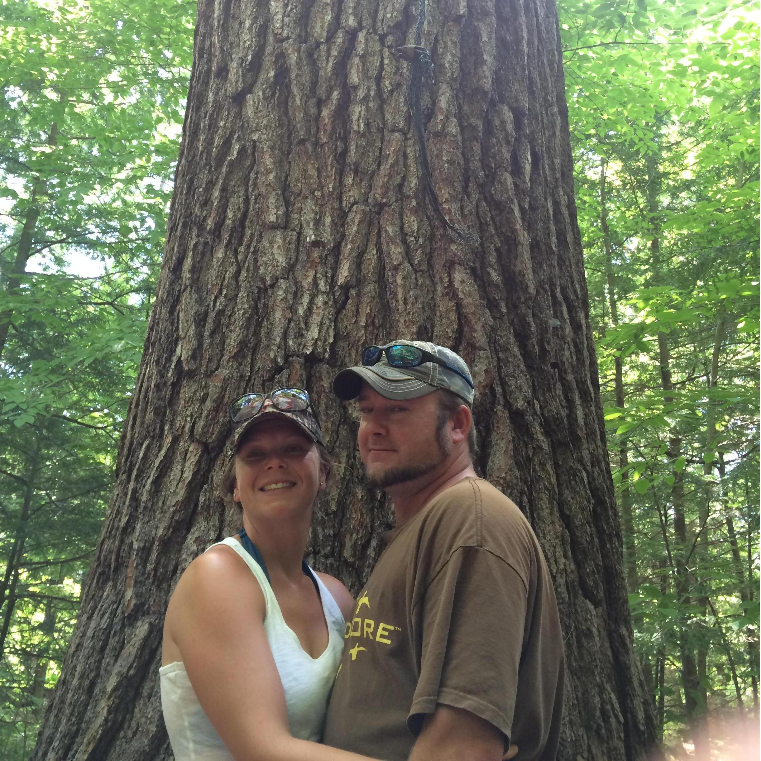 The Tall Pines
