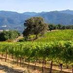 Wine Tasting