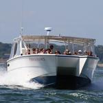 Monomoy Island Excursions
