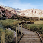 Calico Basin Road