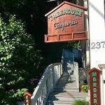 Treehouse Taqueria