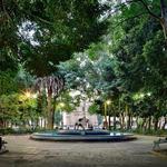 Coyoacán