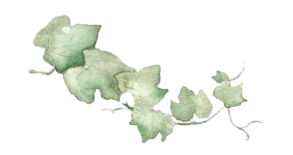5cb9f8e5-bcec-4398-a739-4e1084db7d6c