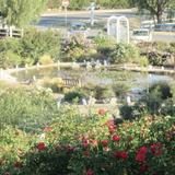 Rose Haven Heritage Garden