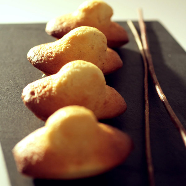 de Buyer Elastomoule Madeleine Mold - Thumbnail 3