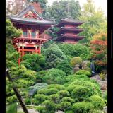 Japanese Tea Garden