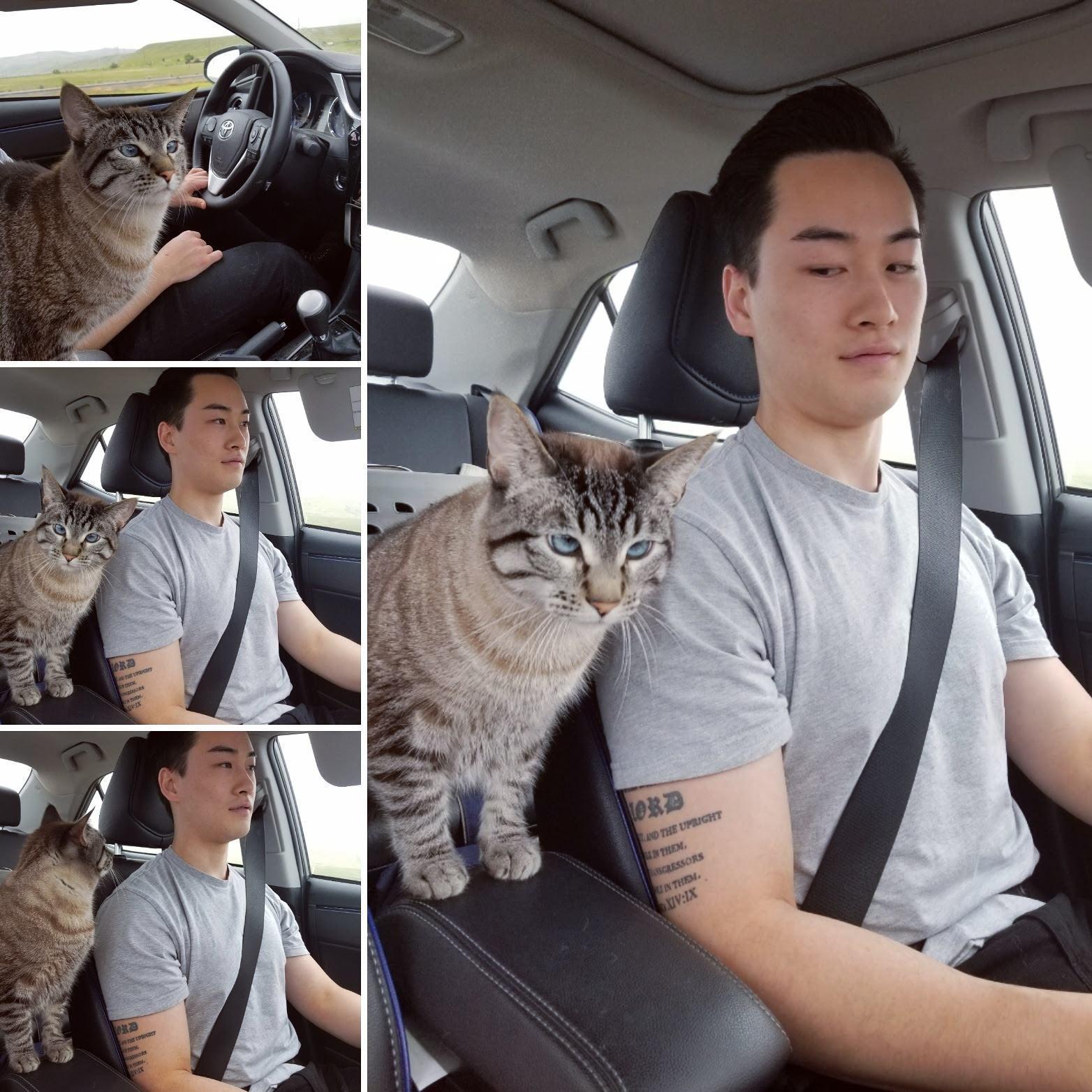 sugar loves her daddy