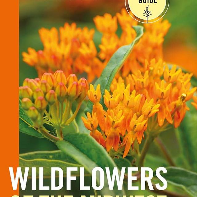 Wildflowers of the Midwest (A Timber Press Field Guide)