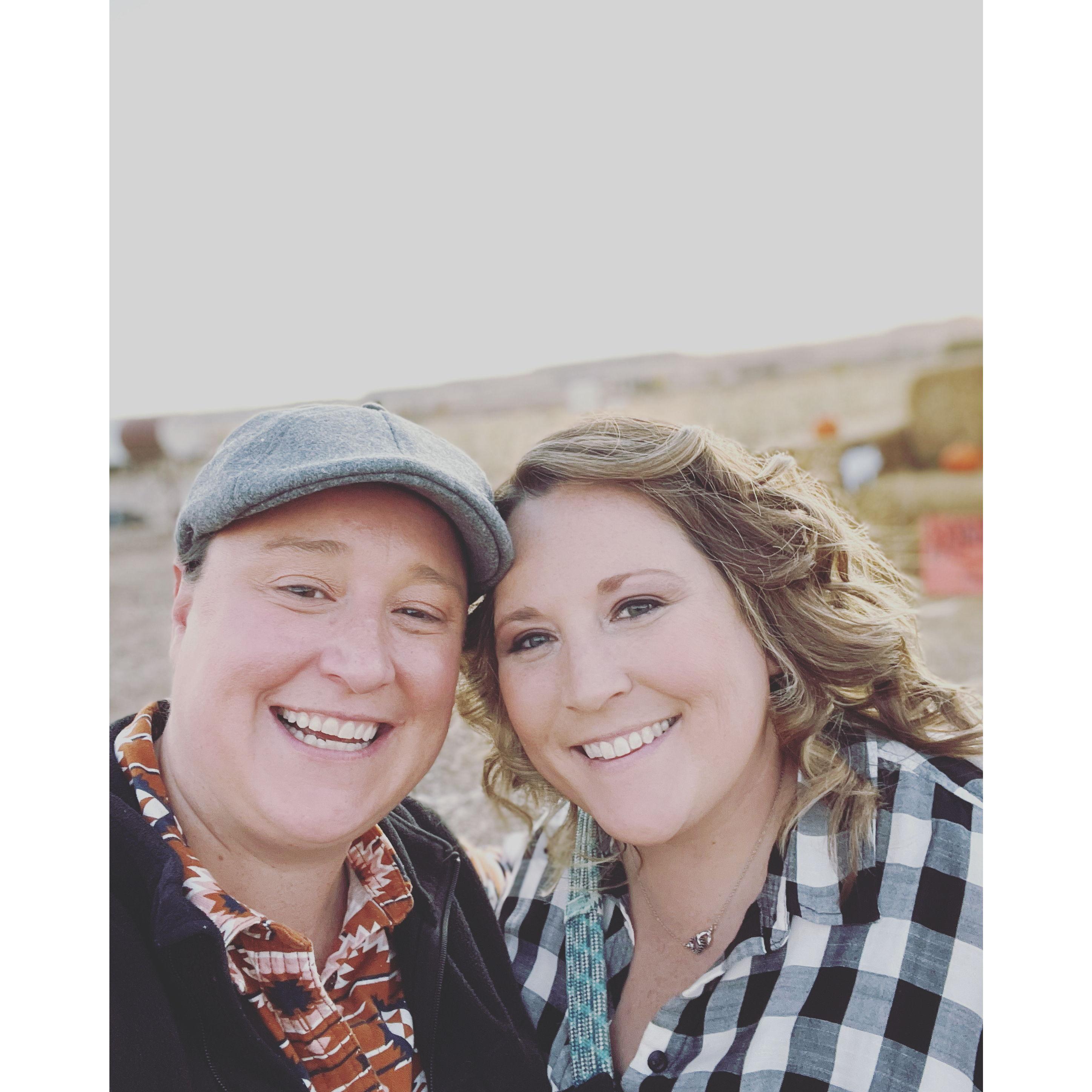 Halloween/Fall corn maze