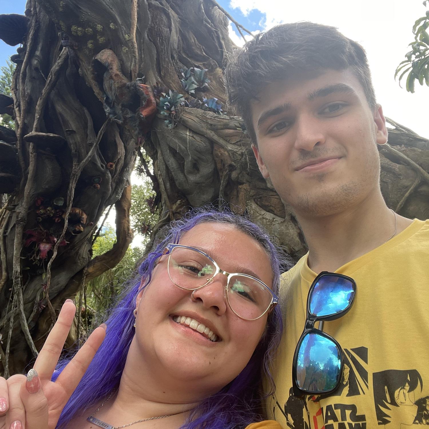 Animal kingdom 2022