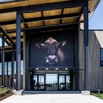 Tillamook Creamery