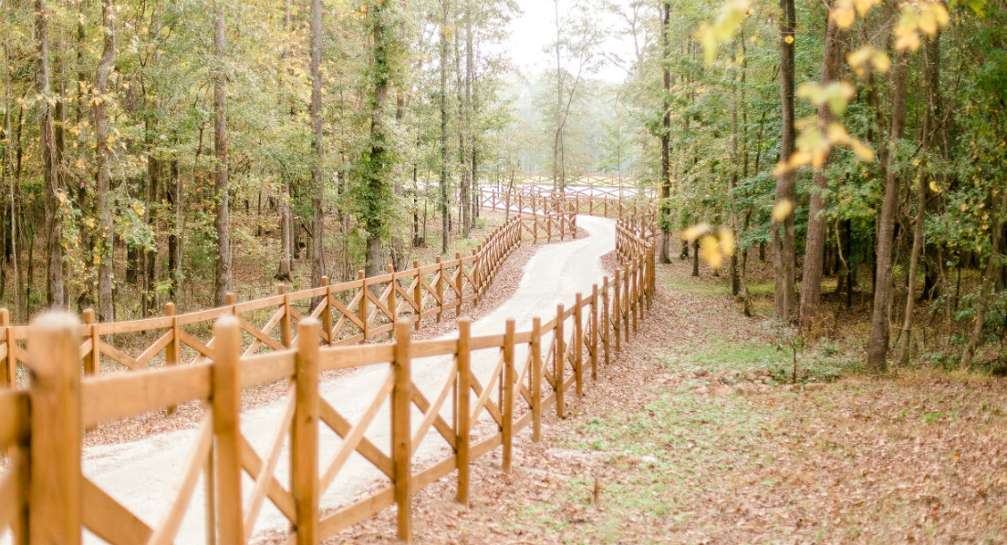 The Wedding Website of David Gonzalez and Cindy Garcia