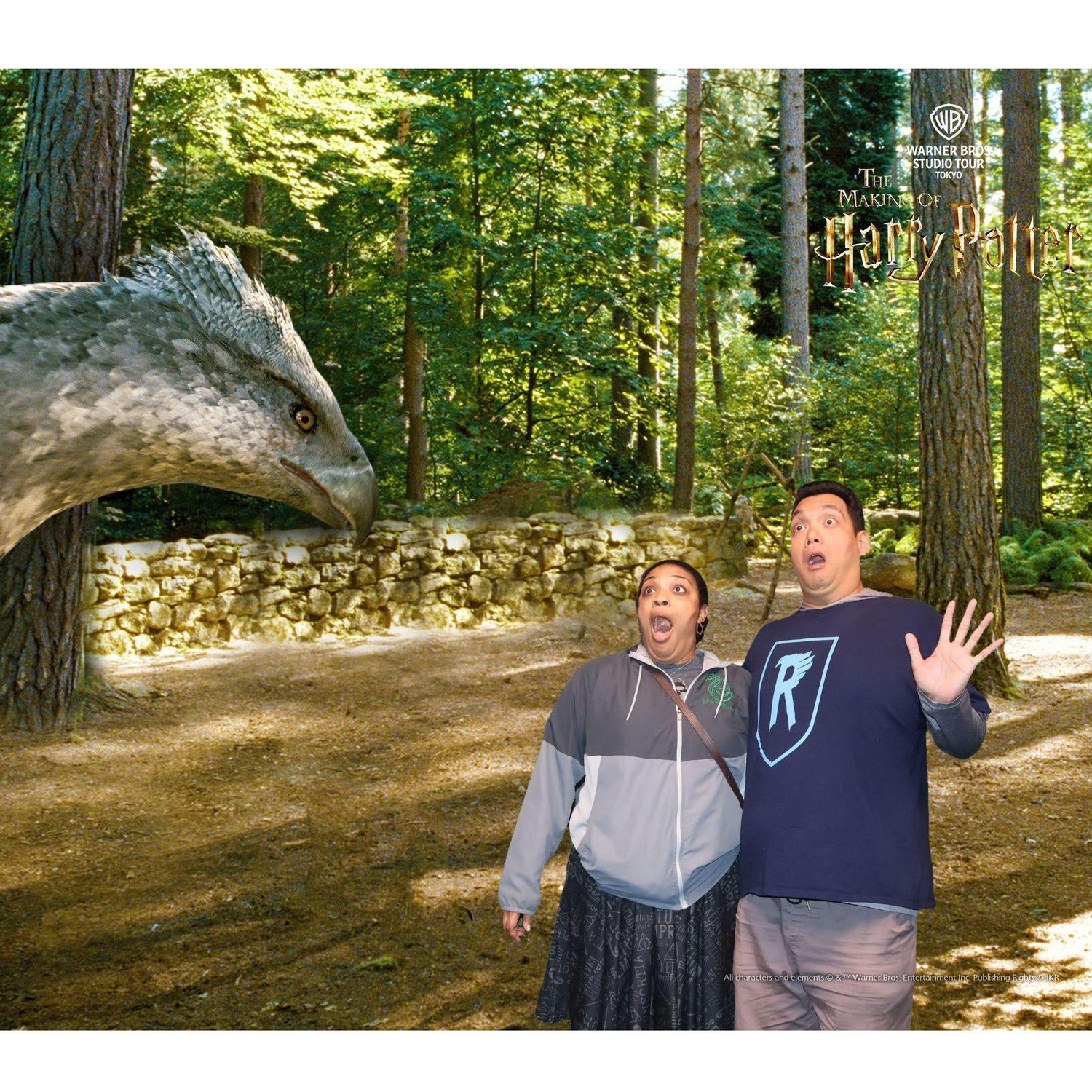 Shocked to find a Hippogriff in Tokyo!