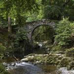 Tollymore Forest Park