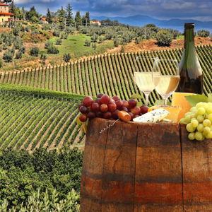 Wine Tasting In Tuscany, Italy