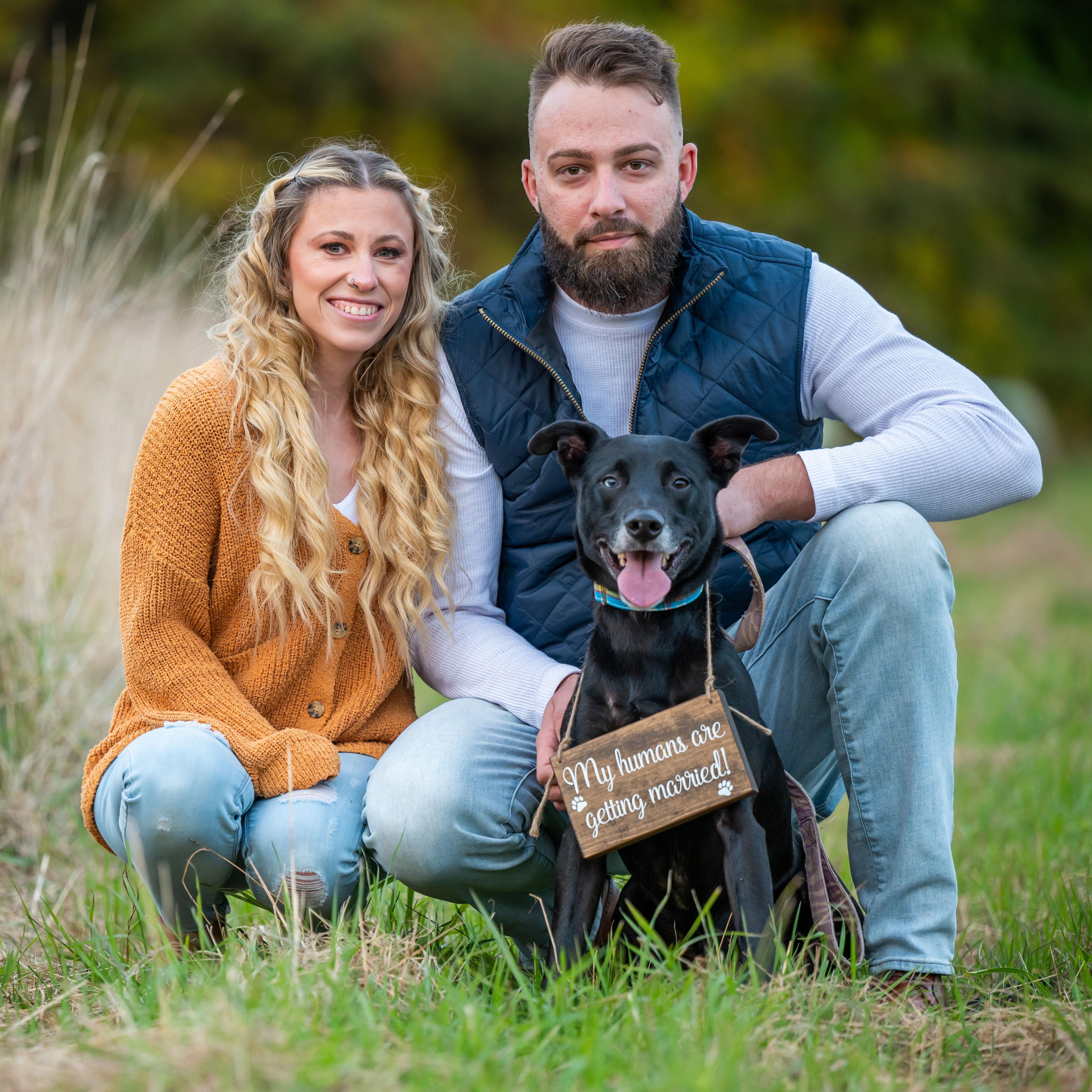 Sara and Shawn Bourque's Wedding site