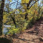 Townsend River Walk & Arboretum