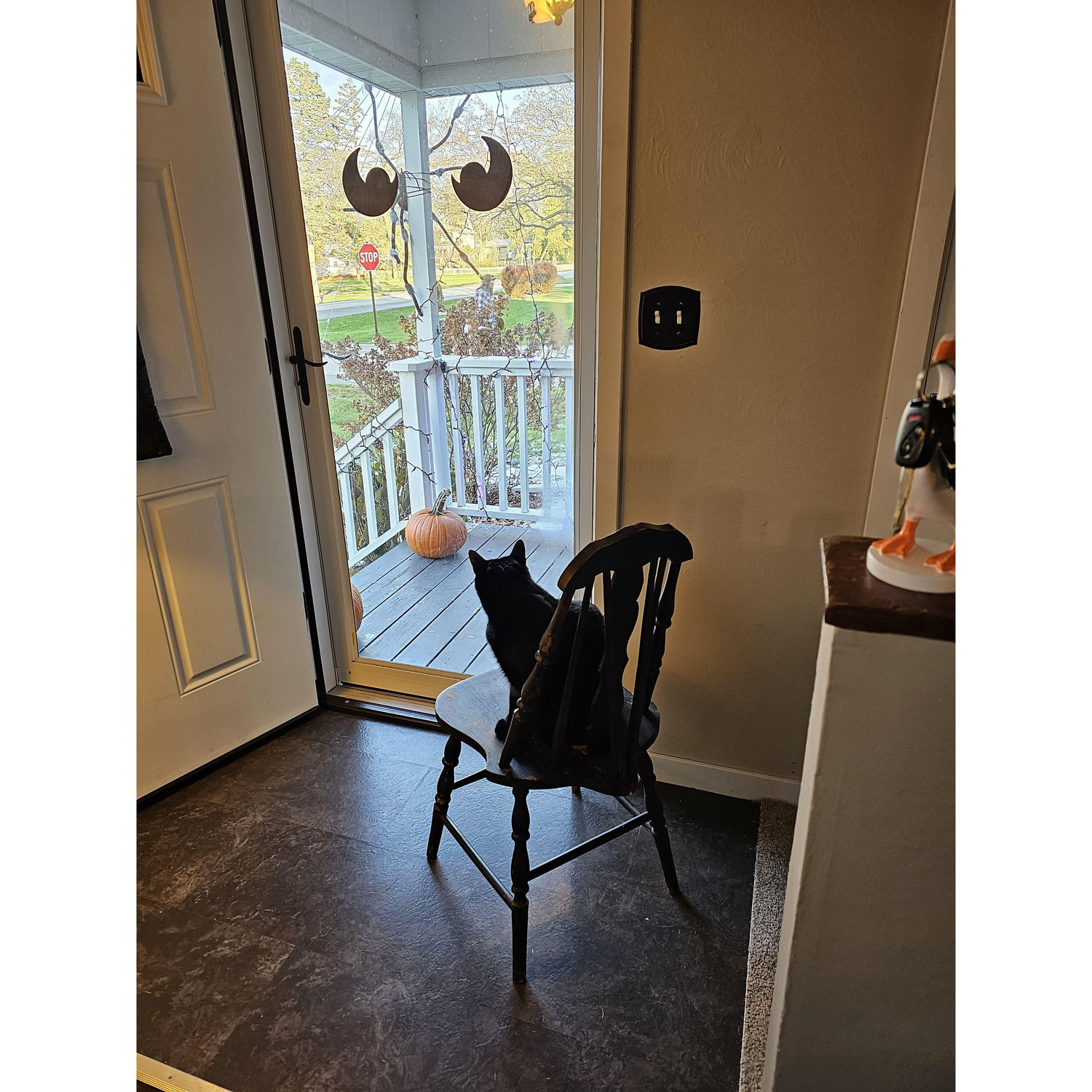 Remy eagerly fell into her roll as trick or treater greeter & living decor.