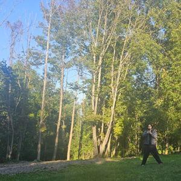 Help us Adopt Bees (Apiary)