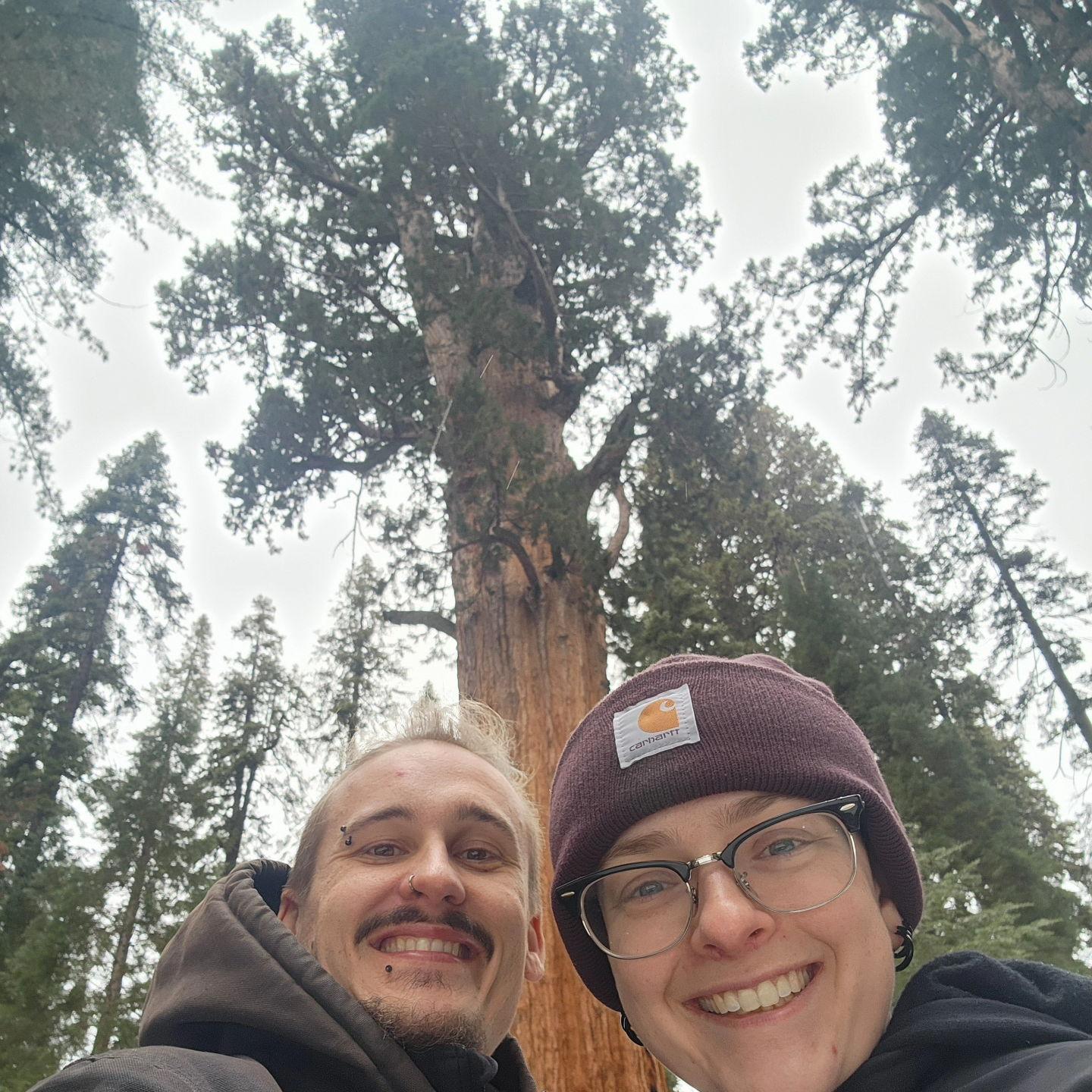 Snow camping in Sequoia National Forest.